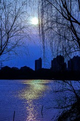 IMGP3460_副本.jpg