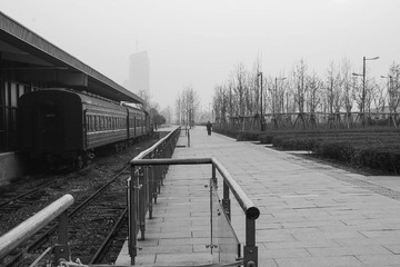 IMGP3908.jpg