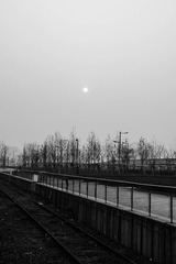 IMGP3909.jpg