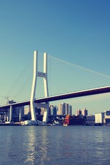 IMGP4064_副本.jpg