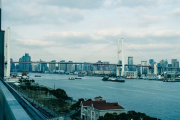 IMGP4451.jpg