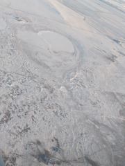 1000009010