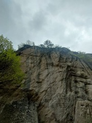 1000004439