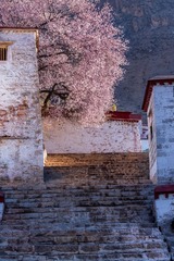 西藏4月