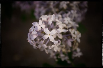 20130501-_IGP1186-编辑.jpg