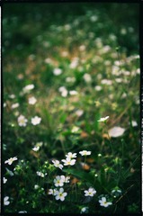 20130501-_IGP1178-编辑.jpg