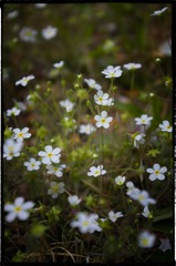 20130501-_IGP1177-编辑.jpg