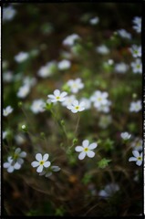 20130501-_IGP1176-编辑.jpg