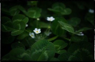 20130501-_IGP1175-编辑.jpg