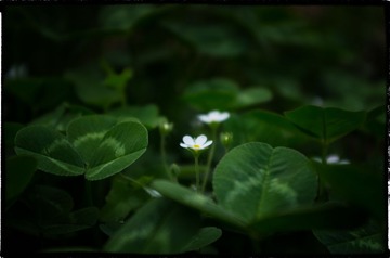 20130501-_IGP1173-编辑.jpg