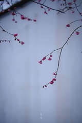 D168678F-6E61-4F1B-B8DB-4F87560AACED/L0/001