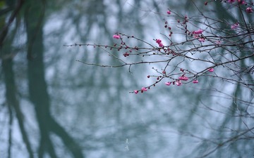 7D95111A-C799-4ACD-946C-97A41A28624F/L0/001