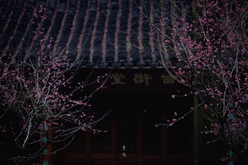 5070D147-7036-4AE1-B54D-96F7B0DE0350/L0/001