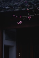 C0AB1C00-2A0E-49F2-B3F7-19D4814CBCC9/L0/001