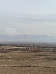 1000089608