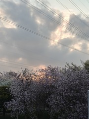 1000095794