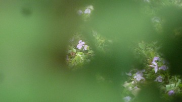 1000051761