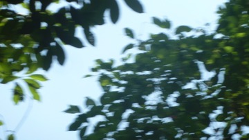 1000007910
