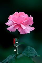 AE2E2A0B-0AB1-4ADB-A624-314B9CDEE2AD/L0/001