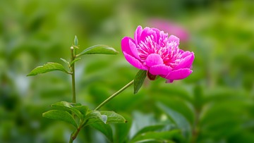 46D12FED-A6C4-4DA8-A02C-F31CE8F6E25D/L0/001