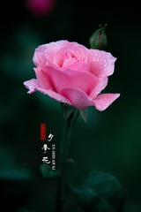 E0404A57-6BB9-45D9-BF7B-B8199319B60B/L0/001
