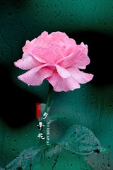 DE7C5FD0-70BB-4E9F-8F24-747BBAC3E7F7/L0/001
