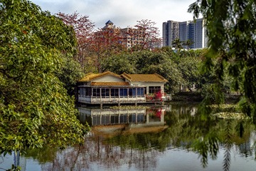 DSC01006
