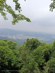 1000076369