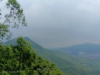 1000076339