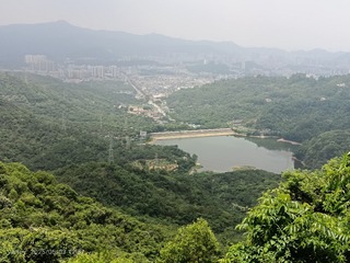 1000076341