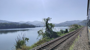 1000033782