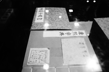 DSC01632.JPG