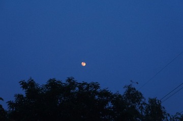 DSC01750.JPG