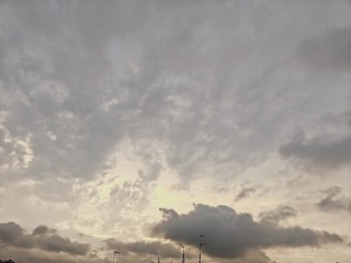 1000011965