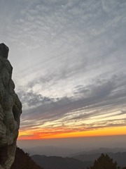 1000034355