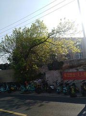 3806452