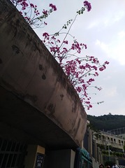 3806500