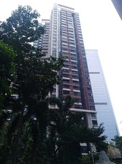 3806438