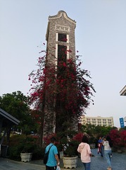 3806485