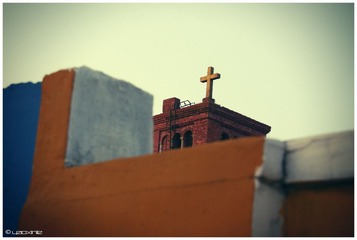 IMG_7202.jpg