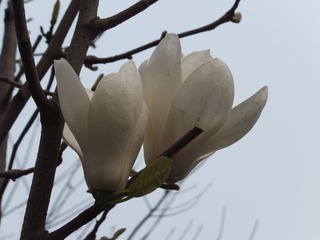 DSCF2681.JPG