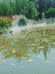 150641