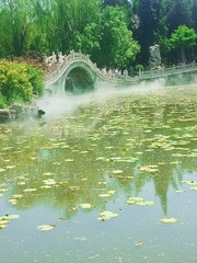 150641
