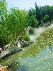 150644