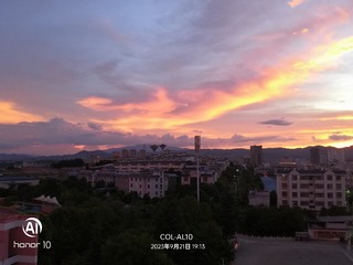 1000004911