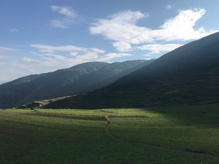 1000160872
