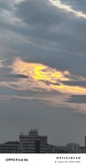 1000012019