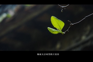 301799