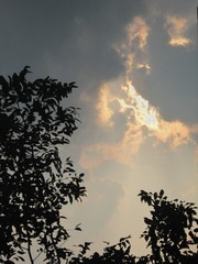 1098746