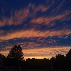 1000016206